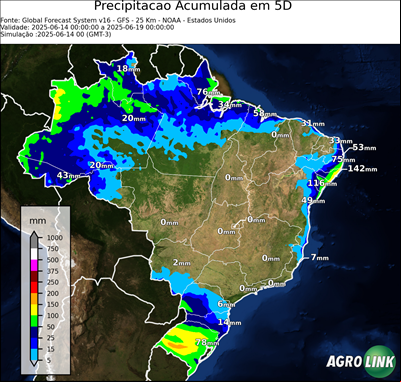5 dias