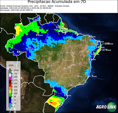 7 dias